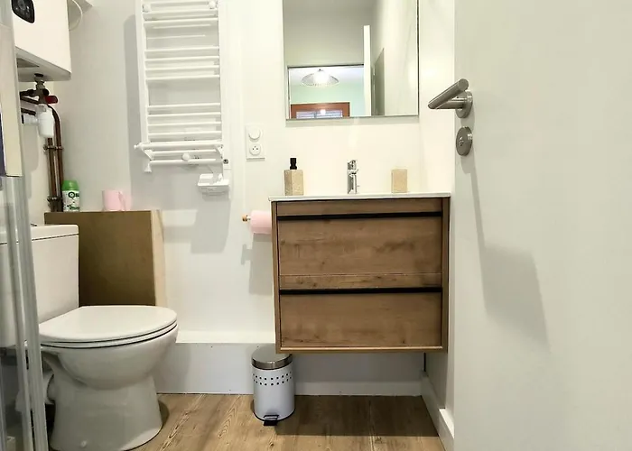 Les Roses - T2 - Proche Plages Et Foret - Jardinet Clos *